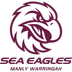 Manly Warringah Sea Eagles