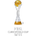 FIFA WC