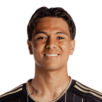 ADRIAN WIBOWO