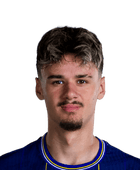 Kerim Alajbegovic