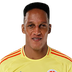 Yerry Mina