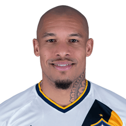 Nigel De Jong