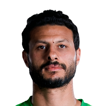 MOHAMED ELSHENAWY