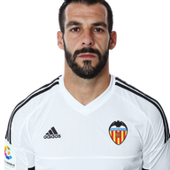 Alvaro Negredo