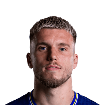ERMEDIN DEMIROVIC