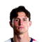 Brenden Aaronson
