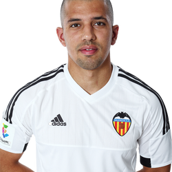 Sofiane Feghouli