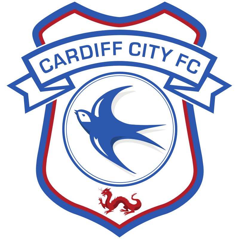 Goal and Highlights: Cardiff City 1-0 Reading in EFL Championship