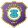 FC Erzgebirge