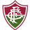 FLUMINENSE