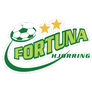 Dbk Fortuna Hjoerring