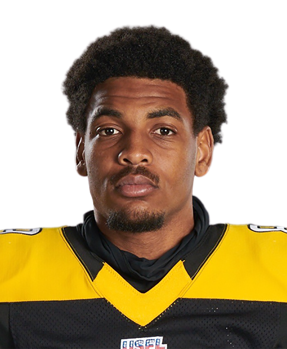 Pittsburgh Steelers, Biography & Wiki