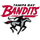 Tampa Bay Bandits