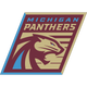 Michigan PanthersLogo
