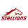 Birmingham stallions