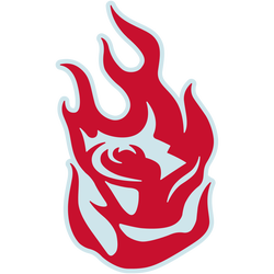 2026 Portland Fire Steals Stats & Leaders - WNBA Defense Stats | FOX Sports