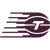 Toronto Tempo