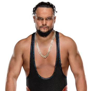 Bo Dallas Bio Information - WWE | FOX Sports