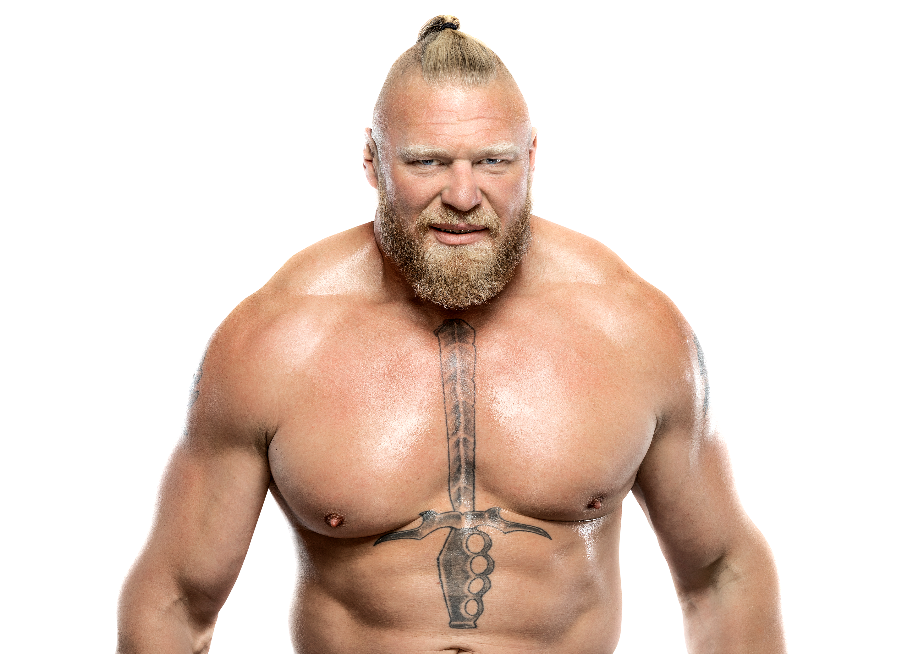 brock lesnar