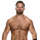 Dash Wilder