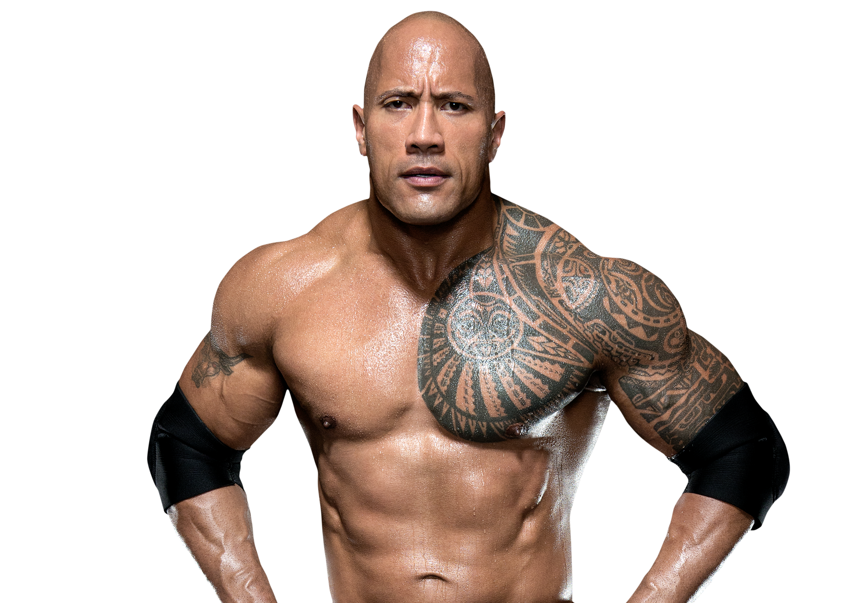 Dwayne "The Rock" Johnson - WWE News, Rumors, & Updates | FOX Sports