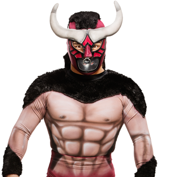 EL TORITO