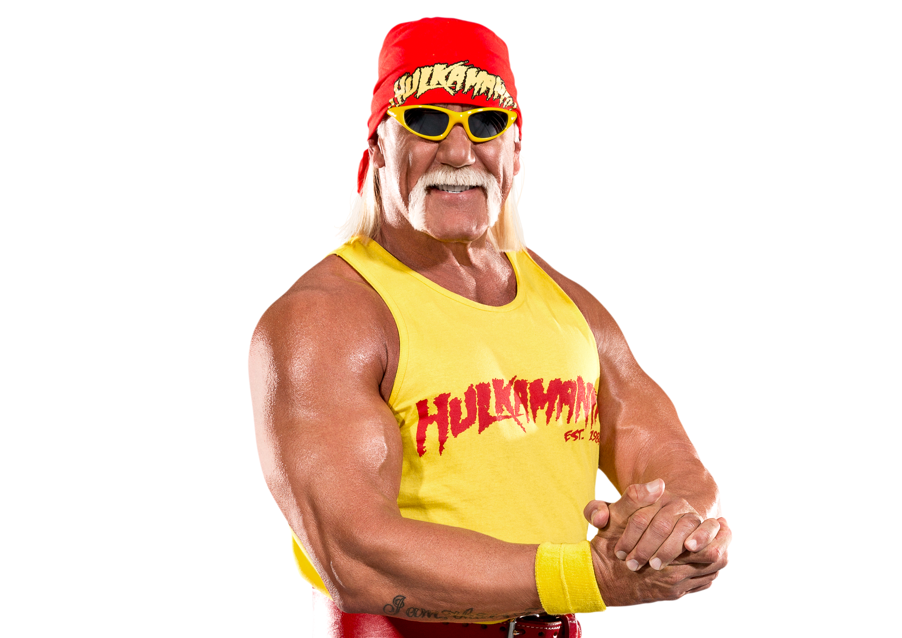 Hogan - WWE Rumors, & Updates | FOX Sports