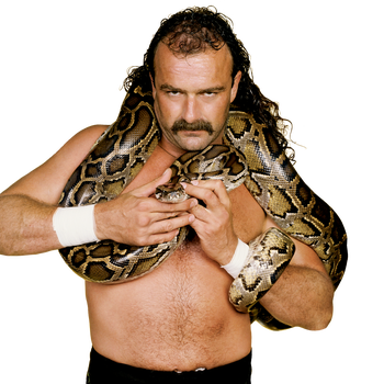 JAKE "THE SNAKE" ROBERTS