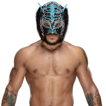 LINCE DORADO