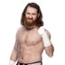 Sami Zayn