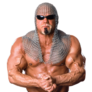 SCOTT STEINER
