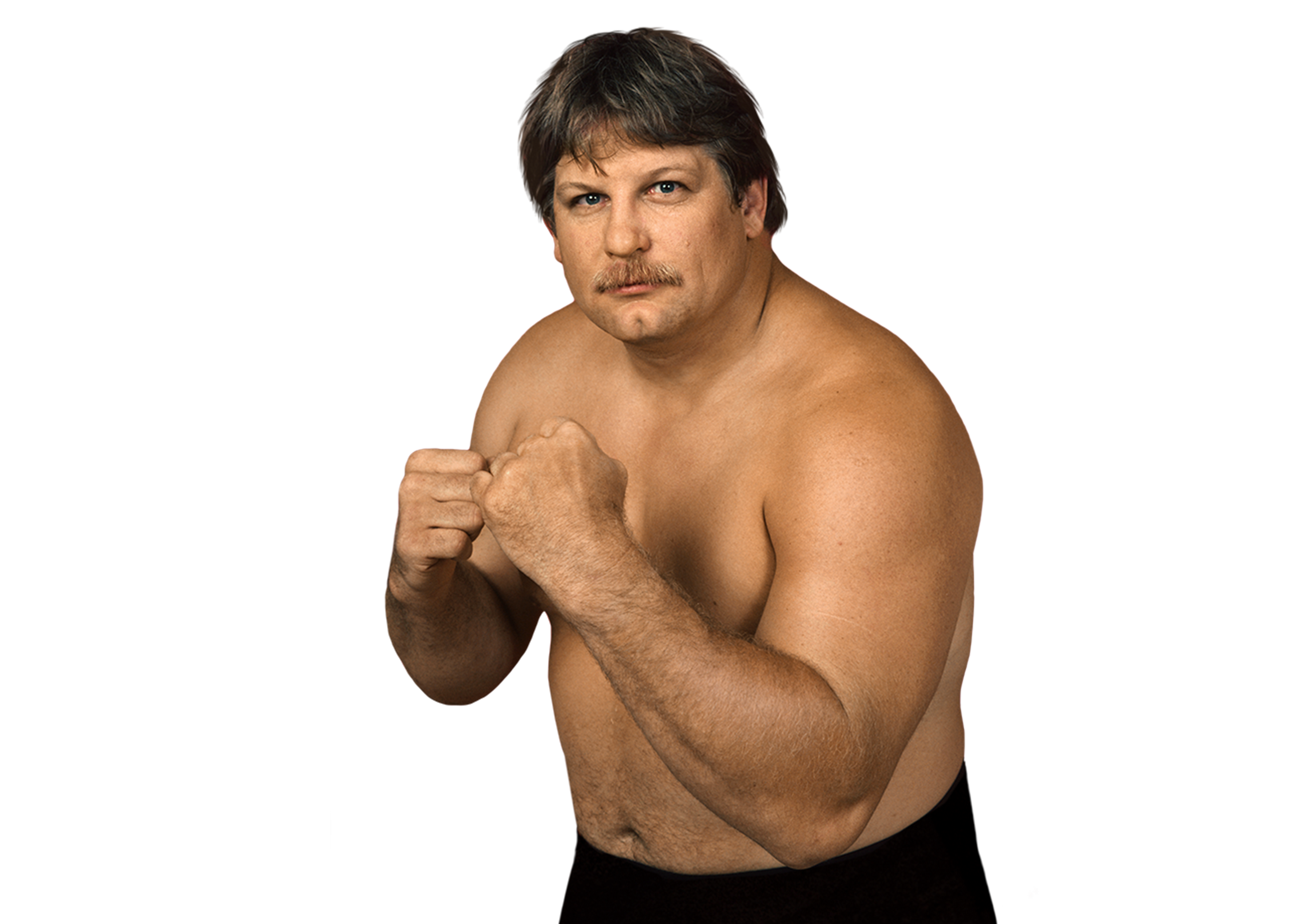 スポーツ選手 Stan theLariat Hansen Stan Hansen BIO | FOX Sports