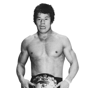 TATSUMI FUJINAMI