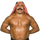 The Iron Sheik