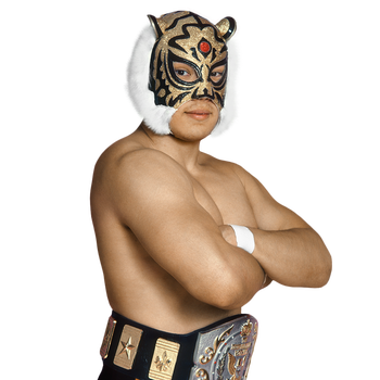 TIGER MASK