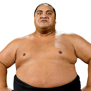 YOKOZUNA