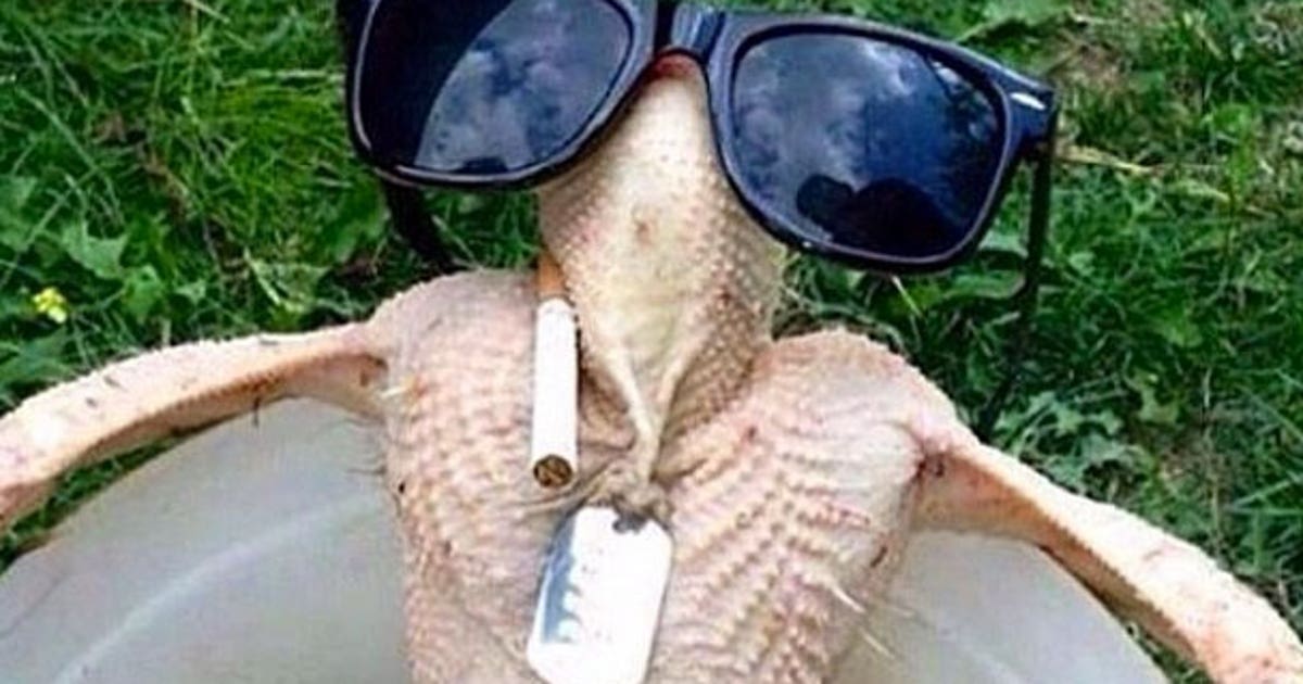 An NFL player dressed up his turkey with sunglasses and cigarette FOX