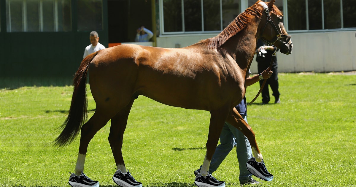 A New Kind Of Horse Shoe A New Kind Of Horse Shoe