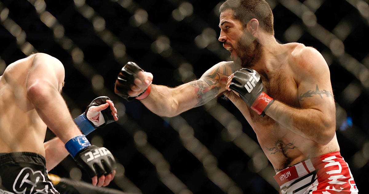 Раулиан пайва. Underdog бренд. Андердог это в спорте что значит. Кого называют андердогом. Кто такие аутсайдеры.