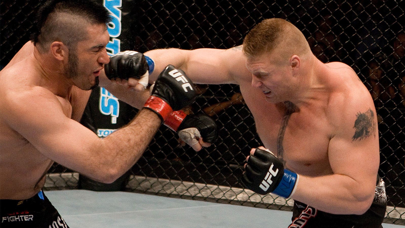 brock lesnar ufc fights