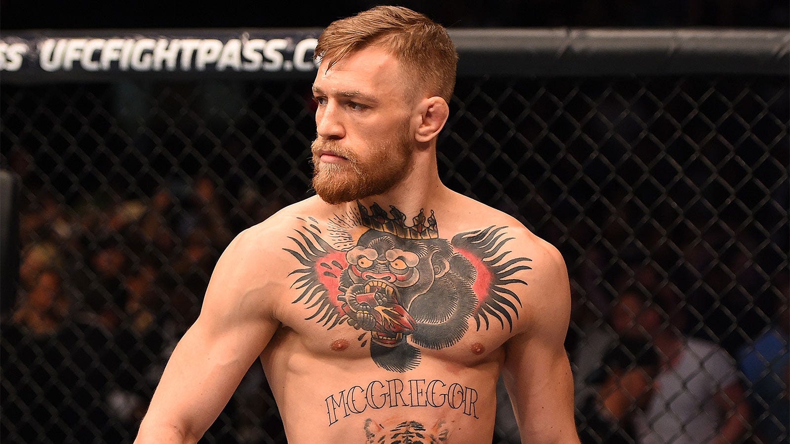 020216-ufc-McGregor-pi-mp.jpg
