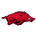 Arkansas Razorbacks
