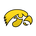 Iowa Hawkeyes