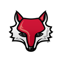 Image result for marist red foxes