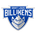 Saint Louis Billikens