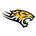 Towson Tigers