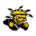 Wichita State Shockers