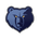Memphis Grizzlies