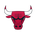 Chicago Bulls