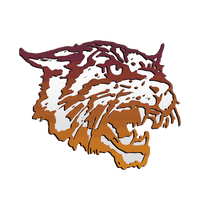 Bethune Cookman Wildcats Football Team Roster Fox Sports